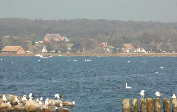 Imagen de los exteriores del Pension Deichgraf. Foto 15