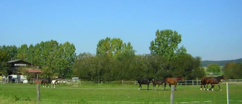 Imagen general del Pension Kaiserhaus. Foto 3