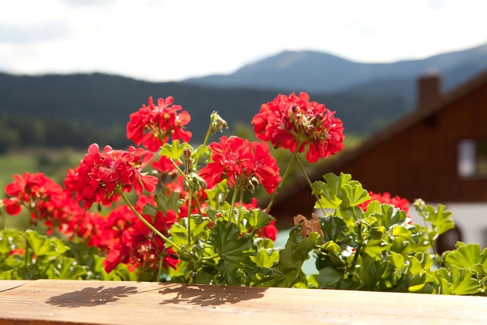 Imagen de la habitación del Pension Silberbauer. Foto 7