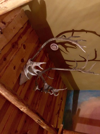 Imagen de la habitación del Pension Spreewelten. Foto 9
