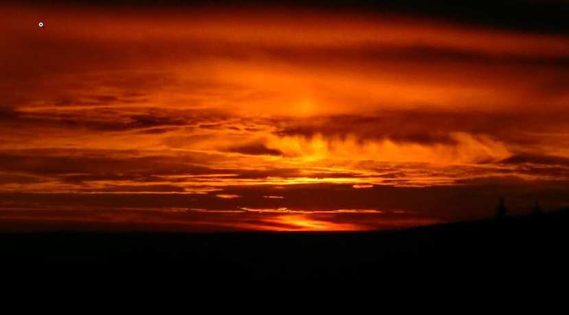 Imagen de los exteriores del Pension Traumblick. Foto 10