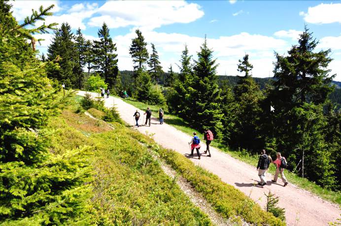 Imagen general del Pension Traumblick. Foto 4