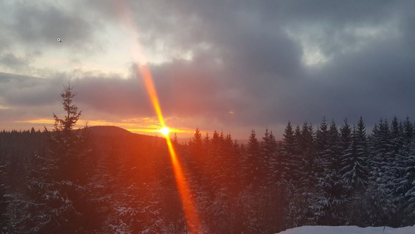 Imagen de los exteriores del Pension Traumblick. Foto 11