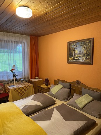 Imagen de la habitación del Pension Waldblick. Foto 3