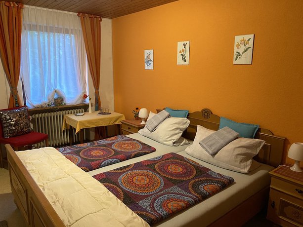 Imagen de la habitación del Pension Waldblick. Foto 17