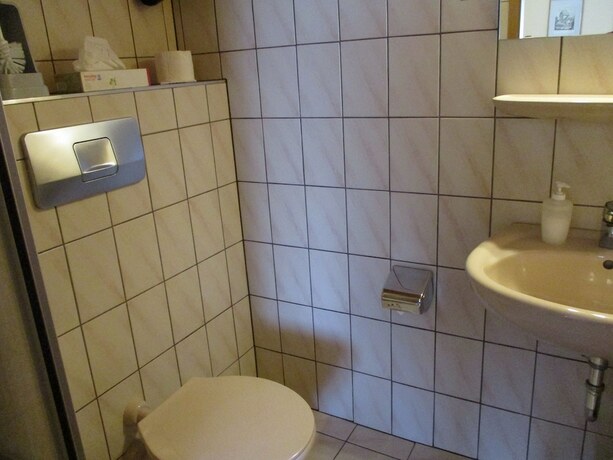 Imagen general del Pension Zum Schwan. Foto 7