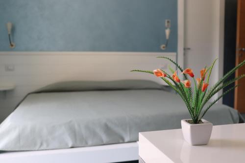 Imagen general del Pensione Rock Garden. Foto 15