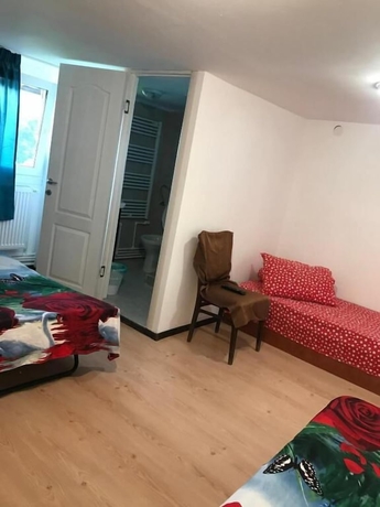 Imagen de la habitación del Pensiunea Alexa. Foto 5