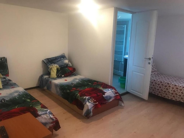 Imagen de la habitación del Pensiunea Alexa. Foto 14