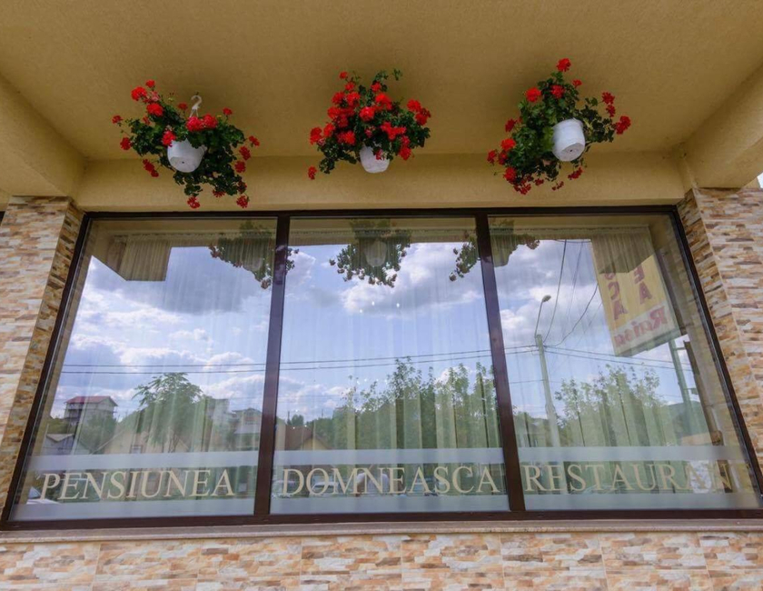 Imagen general del Pensiunea Domneasca. Foto 11