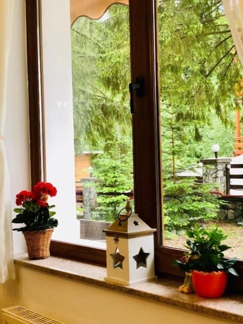 Imagen de los interiores del Pensiunea Kalinder, Bușteni. Foto 19