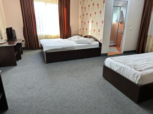 Imagen general del Pensiunea La Vasile. Foto 3