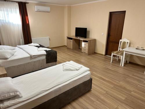 Imagen general del Pensiunea La Vasile. Foto 6