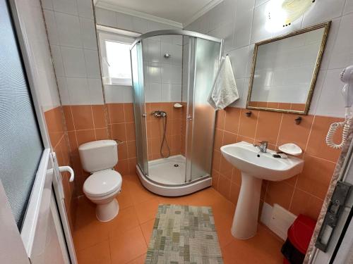 Imagen general del Pensiunea La Vasile. Foto 7