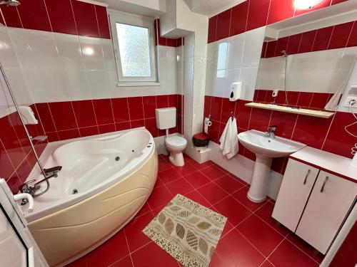 Imagen general del Pensiunea La Vasile. Foto 10