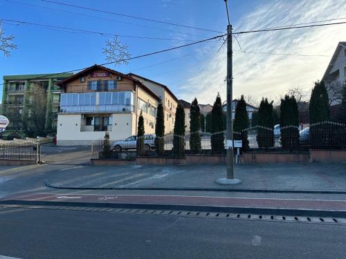 Imagen general del Pensiunea La Vasile. Foto 16