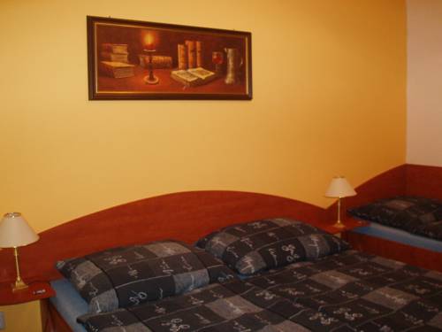 Imagen de la habitación del Penzion Axa. Foto 9