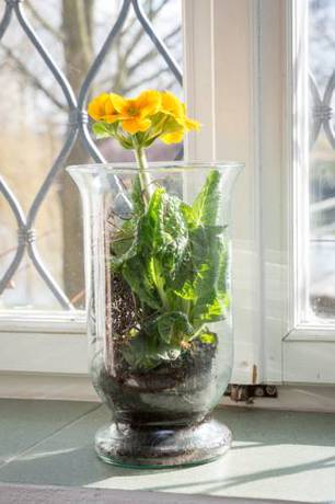 Imagen de la habitación del Penzion Dvorce. Foto 6