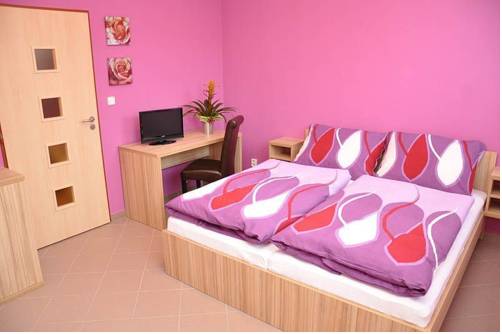 Imagen de la habitación del Penzion Farma. Foto 3