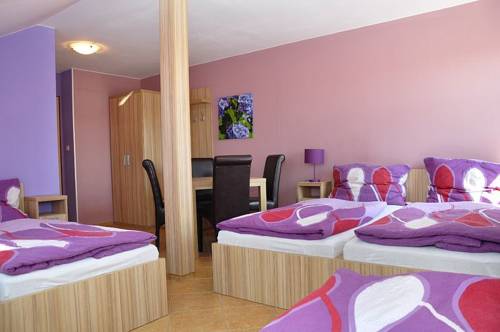 Imagen de la habitación del Penzion Farma. Foto 9