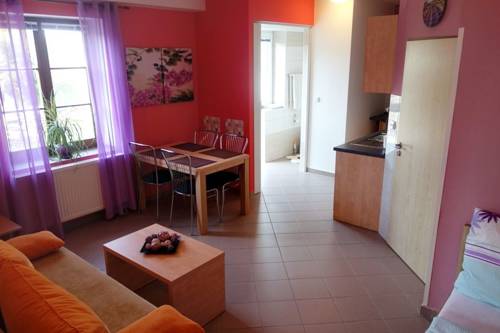 Imagen de la habitación del Penzion Farma. Foto 12