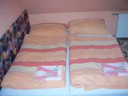 Imagen de la habitación del Penzion Font&aacute;na. Foto 2