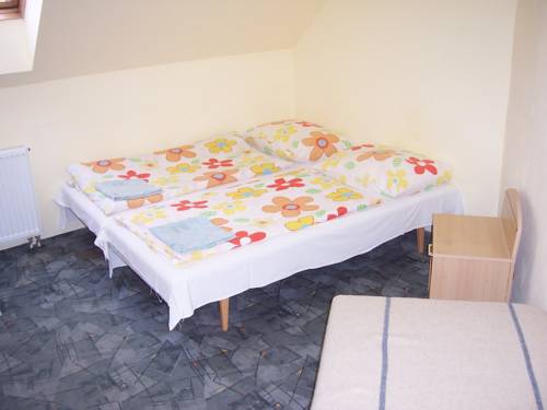 Imagen de la habitación del Penzion Font&aacute;na. Foto 3