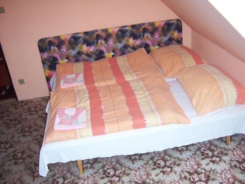 Imagen de la habitación del Penzion Font&aacute;na. Foto 9