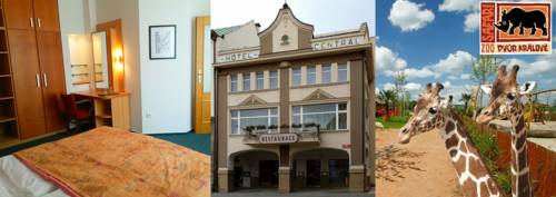 Imagen de la habitación del Penzion Hotelu Central. Foto 2