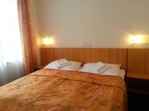 Imagen de la habitación del Penzion Hotelu Central. Foto 10