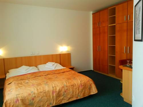 Imagen de la habitación del Penzion Hotelu Central. Foto 13