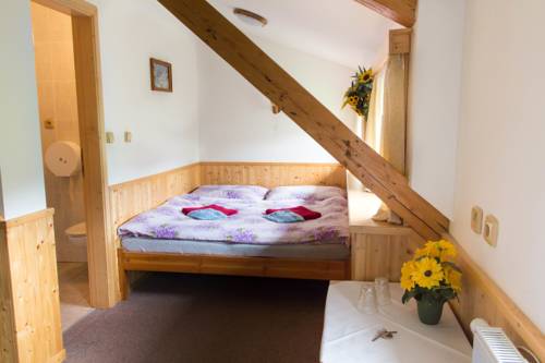 Imagen de la habitación del Penzion U Vesel&yacute;ch. Foto 6