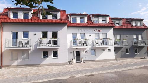 Imagen general del Penzion Č&aacute;p. Foto 3