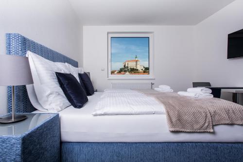 Imagen general del Penzion Č&aacute;p. Foto 5