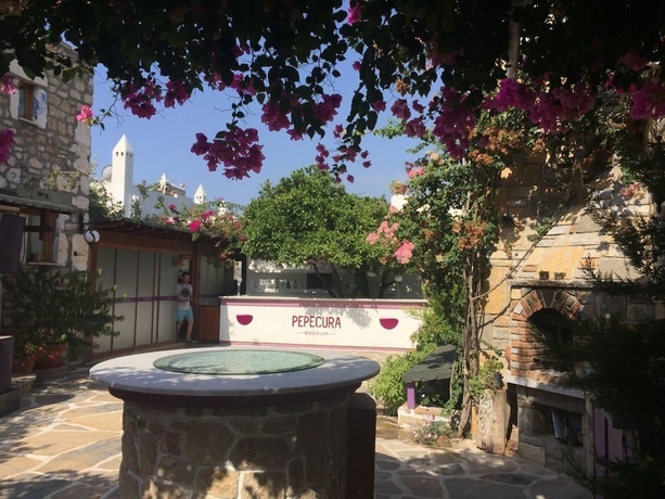 Imagen del bar/restaurante del Pepecura Bodrum. Foto 6