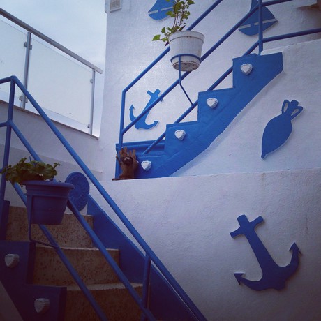 Imagen de los interiores del Perice Butik Pansiyon. Foto 16