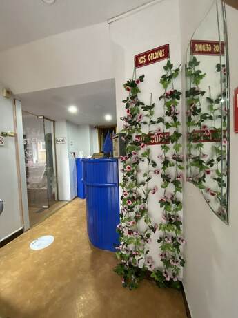 Imagen general del Petek Hotel, Osmangazi. Foto 3