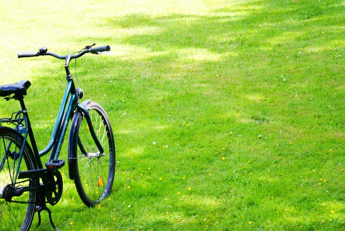 Imagen general del Pfefferbett Hostel Berlin. Foto 1