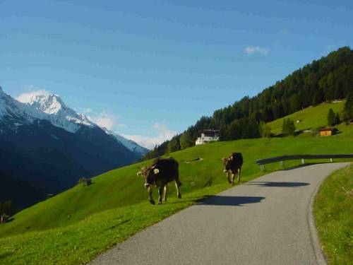 Imagen general del Pfurtschell. Foto 6