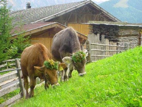 Imagen general del Pfurtschell. Foto 24