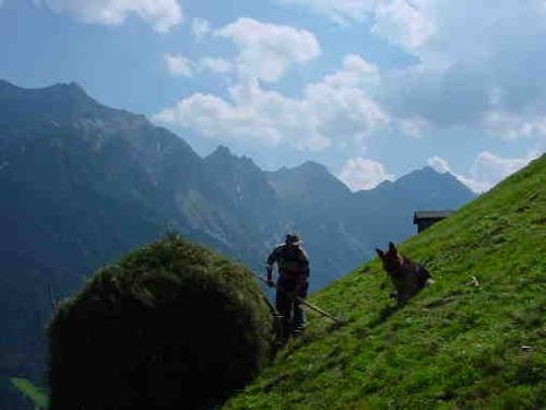 Imagen general del Pfurtschell. Foto 27