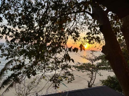 Imagen general del Phi Phi Private Beach Resort. Foto 2