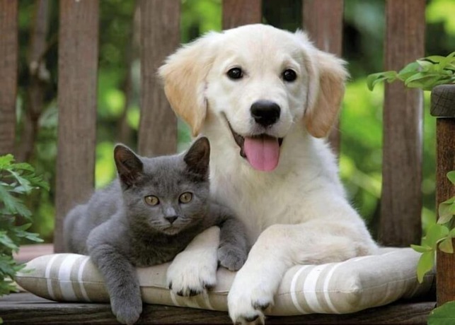 Imagen general del Pia Mare Hotel. Foto 6