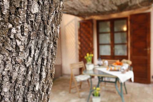 Imagen de la habitación del Pian Delle More. Foto 7