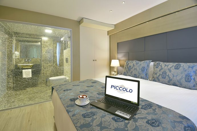Imagen de la habitación del Piccolo Hotel Istanbul. Foto 15