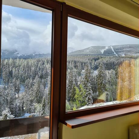 Imagen general del Piecuch. Foto 25