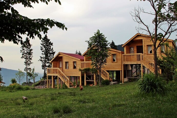 Imagen general del Pilav Dagi Yavuzyilmaz Tesisleri. Foto 12