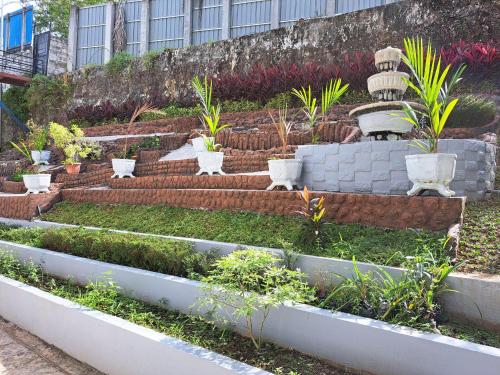 Imagen general del Pillow Guest House. Foto 16
