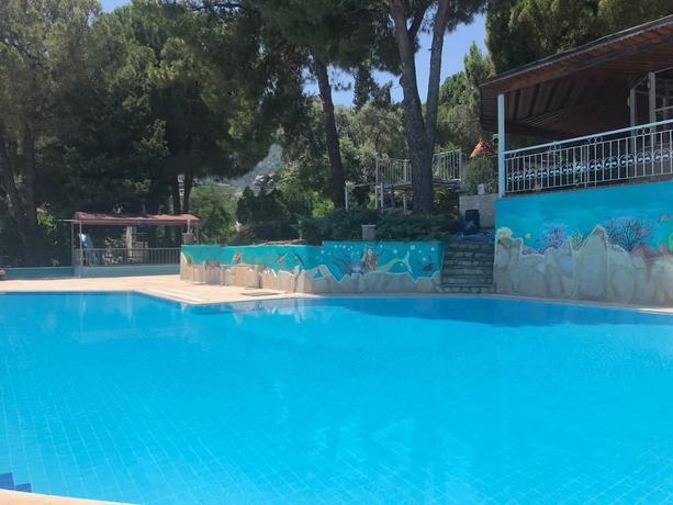 Imagen de la piscina del Pine Beach Boutique Hotel. Foto 18