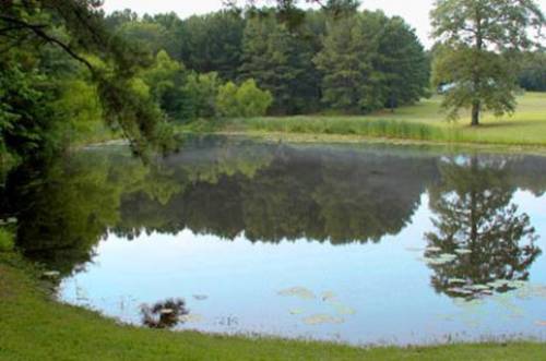 Imagen de la habitación del Pine Creek Country Inn. Foto 3